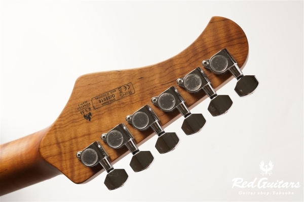 TACTICS - ASH/RSM - WBD